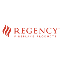 Regency Fireplace Products